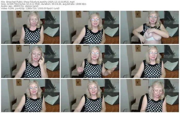 stripchat-evelynloveshy-12-13-2025-01-45-21