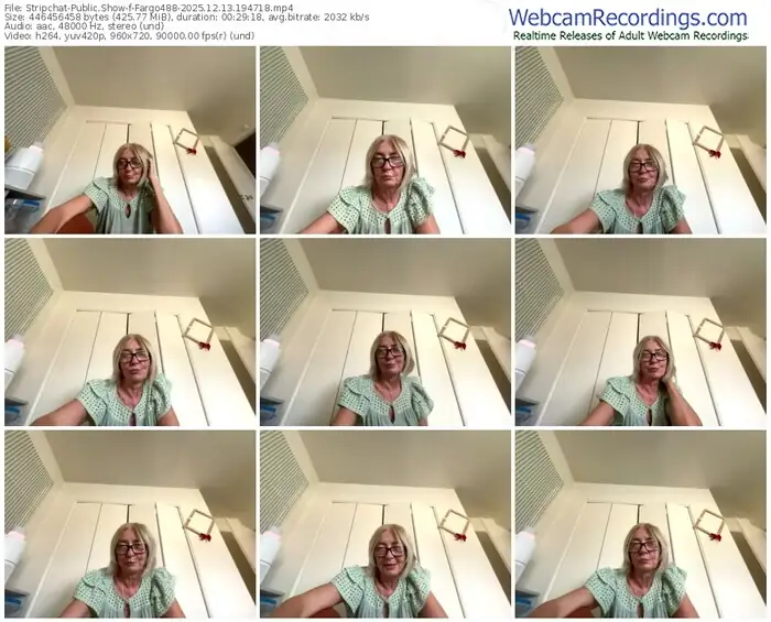 stripchat-fargo488-12-13-2025-19-47-18