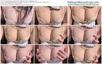 stripchat-lt-333-12-13-2025-18-02-40