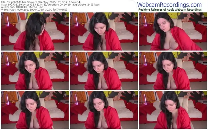 stripchat-littleshyy-12-13-2025-14-19-34