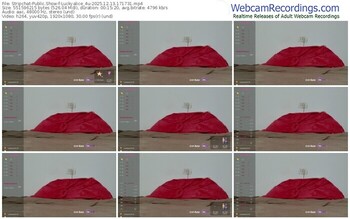 stripchat-luckyalice_4u-12-13-2025-17-17-31