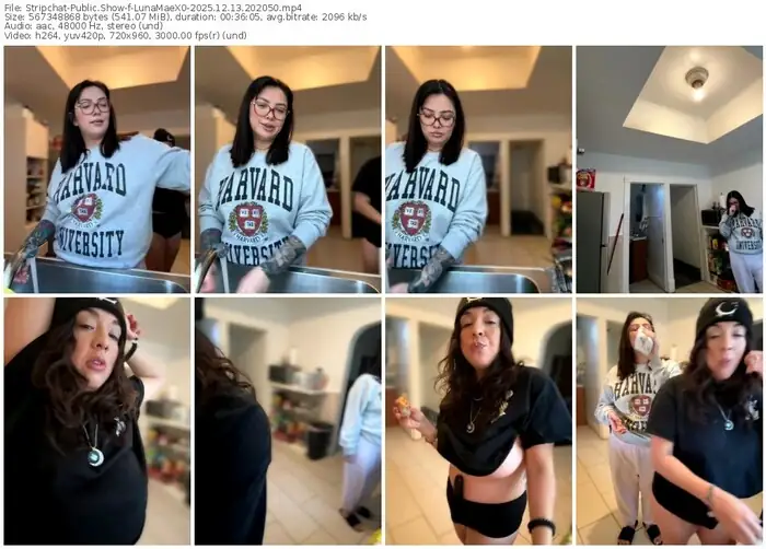 stripchat-lunamaex0-12-13-2025-20-20-50