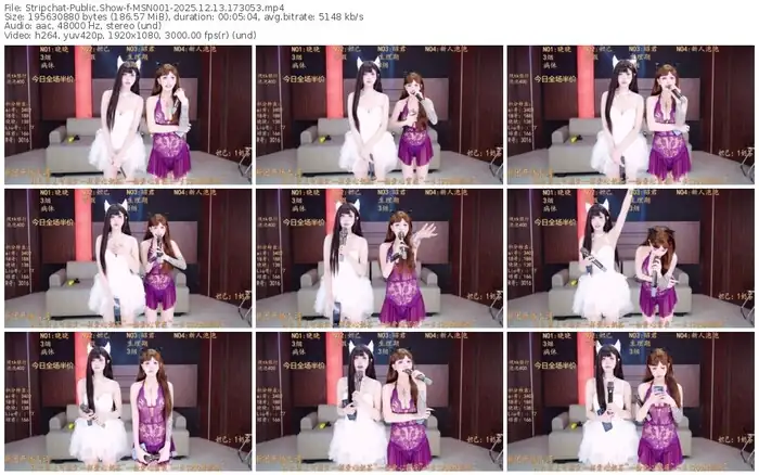 stripchat-msn001-12-13-2025-17-30-53