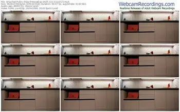 stripchat-nessaday-12-13-2025-12-27-15