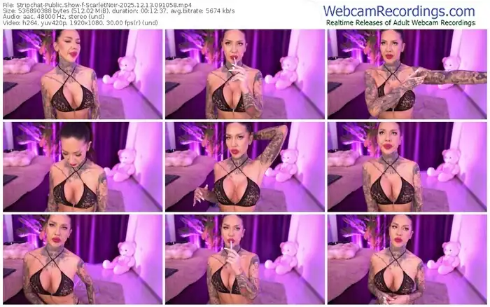 stripchat-scarletnoir-12-13-2025-09-10-58