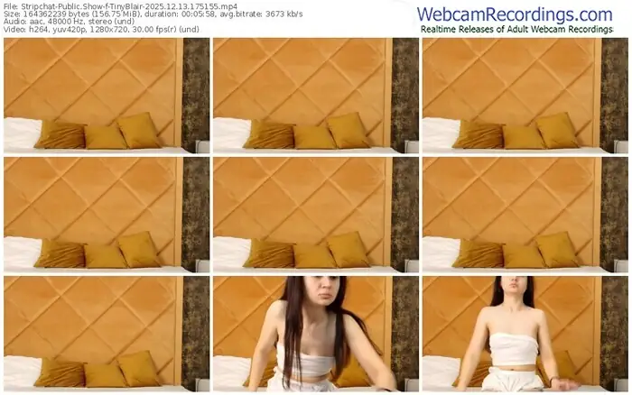 stripchat-tinyblair-12-13-2025-17-51-55