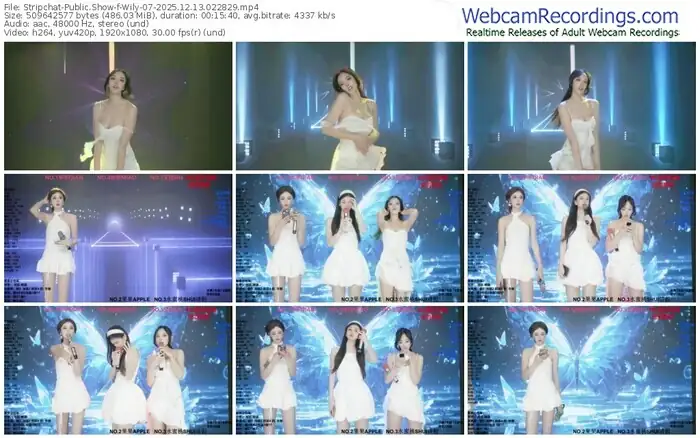 stripchat-wily-07-12-13-2025-02-28-29