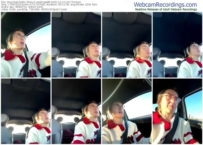 stripchat-casalinga88-12-13-2025-14-17-33