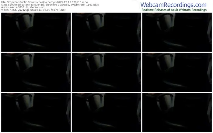 stripchat-cheekycherryx-12-13-2025-07-01-10