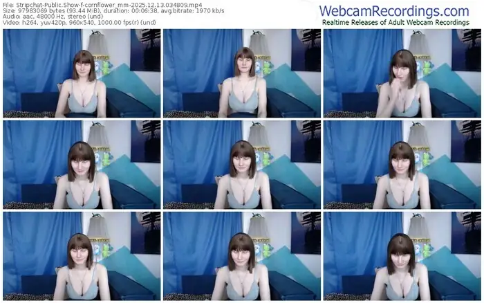 stripchat-cornflower_mm-12-13-2025-03-48-09