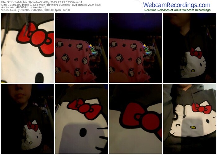 stripchat-w3tkittty-12-13-2025-02-36-04