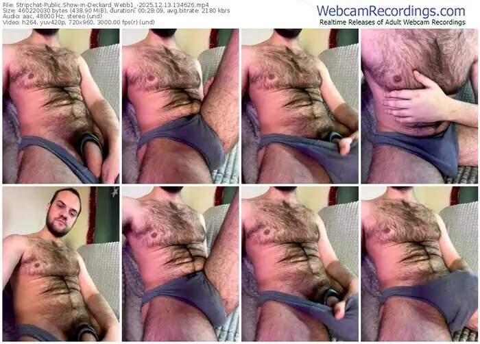 stripchat-deckard_webb1_-12-13-2025-13-46-26