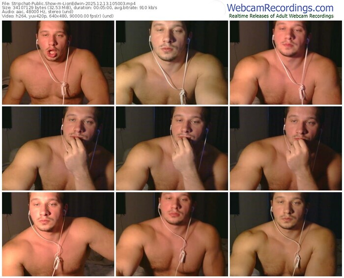 stripchat-lionedwin-12-13-2025-10-50-03