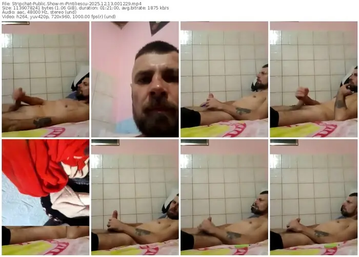 stripchat-pintiliescu-12-13-2025-00-12-29