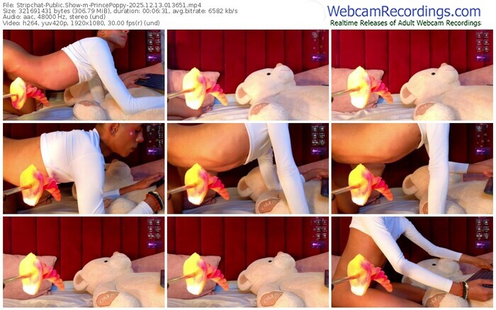 stripchat-princepoppy-12-13-2025-01-36-51