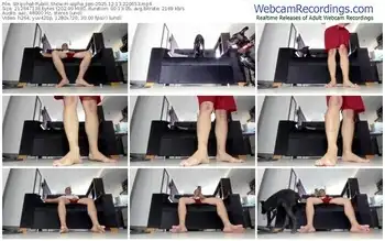 stripchat-alpha_pps-12-13-2025-22-06-53