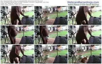 stripchat-herbie010666-12-13-2025-05-57-41