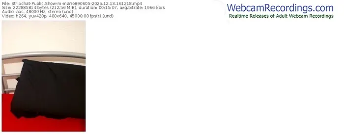 stripchat-mario890605-12-13-2025-16-12-18