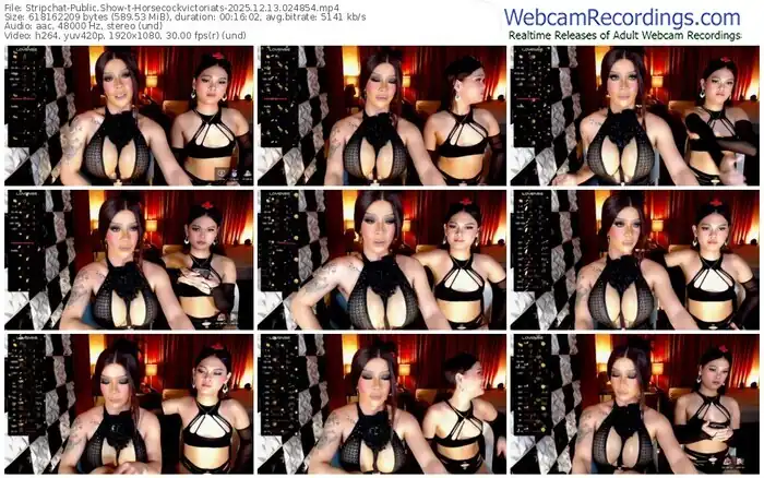 stripchat-horsecockvictoriats-12-13-2025-02-48-54