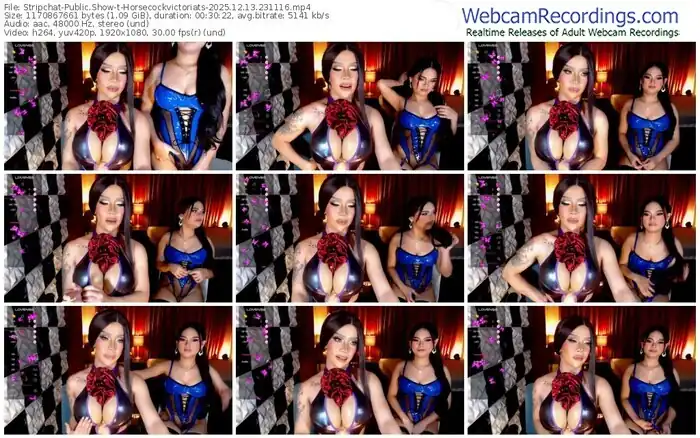 stripchat-horsecockvictoriats-12-13-2025-23-11-16