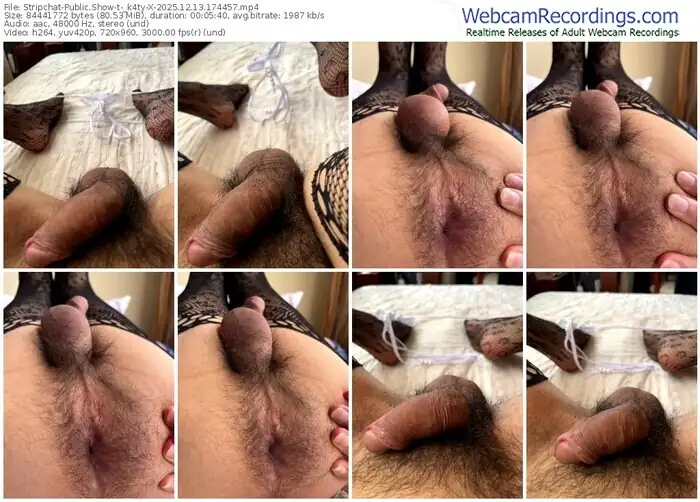 stripchat-_k4ty-x-12-13-2025-17-44-57