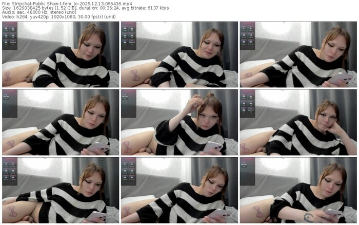 stripchat-fem_to-12-13-2025-06-54-36