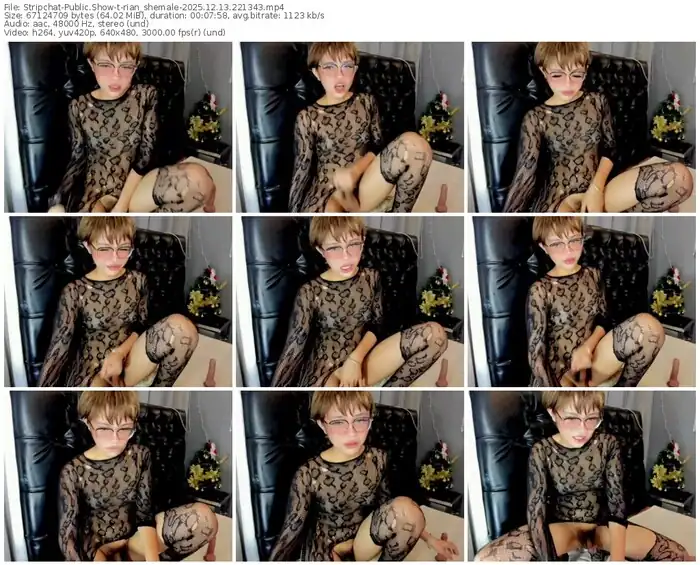 stripchat-rian_shemale-12-13-2025-22-13-43