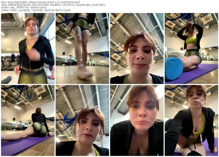 stripchat-assole-12-14-2025-09-50-29