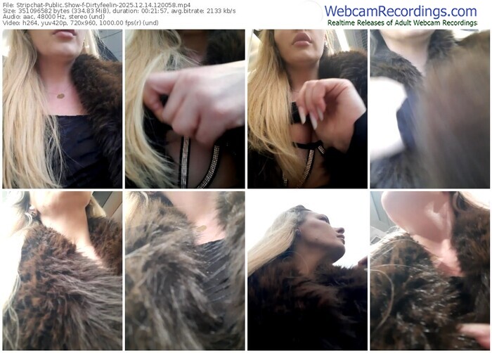 stripchat-dirtyfeelin-12-14-2025-12-00-58