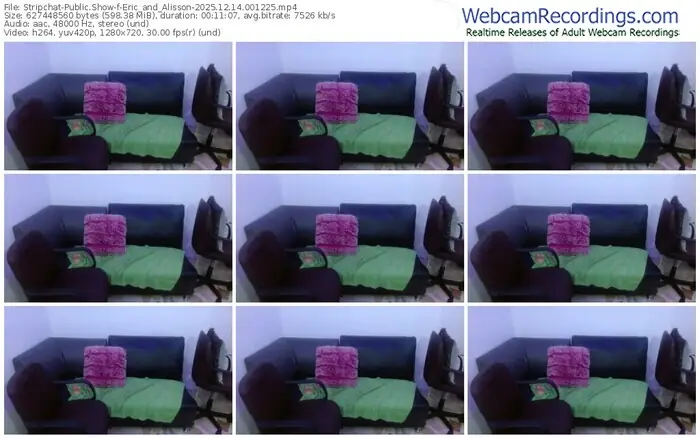 stripchat-eric_and_alisson-12-14-2025-00-12-25