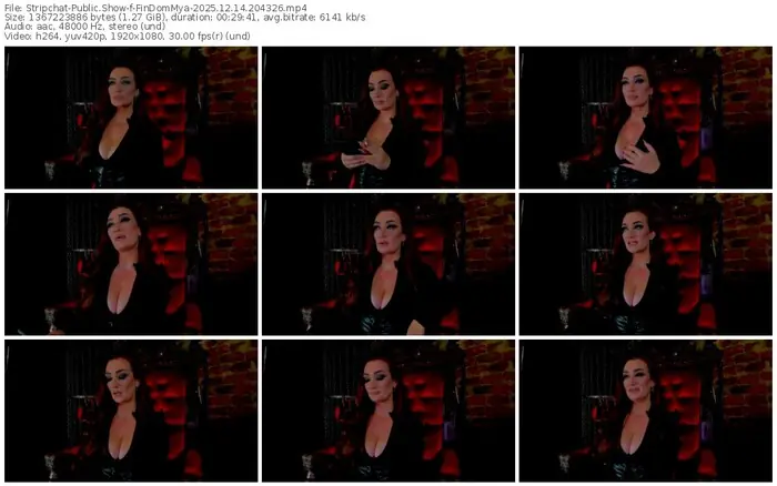 stripchat-findommya-12-14-2025-20-43-26