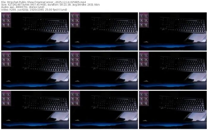 stripchat-hannaconnor_-12-14-2025-02-58-05