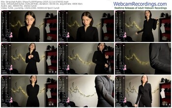 stripchat-lilithflamey-12-14-2025-07-49-32