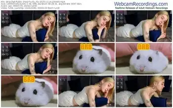 stripchat-lolly_fly-12-14-2025-23-54-45