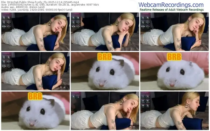 stripchat-lolly_fly-12-14-2025-23-54-45