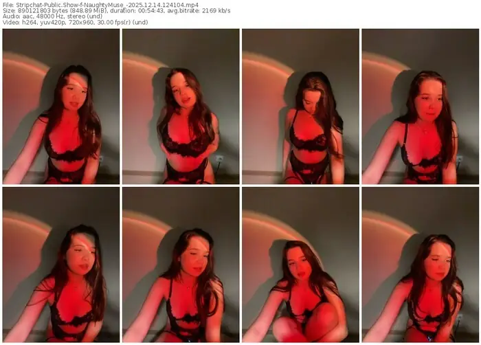 stripchat-naughtymuse_-12-14-2025-12-41-04