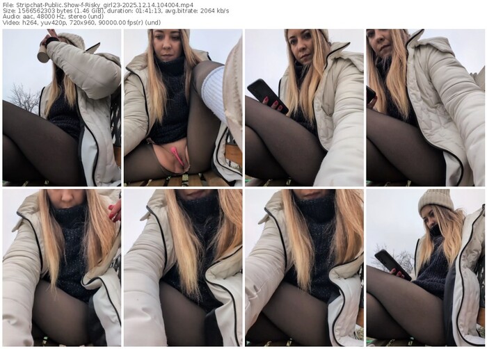 stripchat-risky_girl23-12-14-2025-10-40-04
