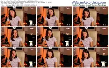 stripchat-sweetvikki-12-14-2025-03-29-00