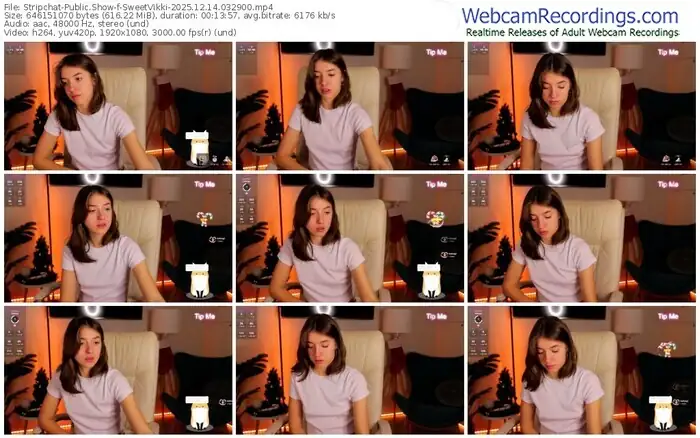 stripchat-sweetvikki-12-14-2025-03-29-00