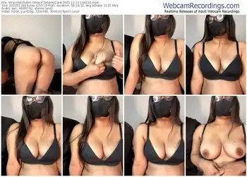 stripchat-zeherkizara-12-14-2025-19-41-10
