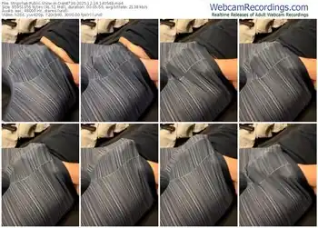 stripchat-dan8736-12-14-2025-14-05-48