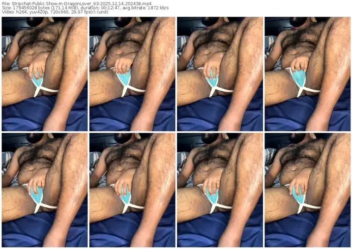 stripchat-dragonlover_93-12-14-2025-20-24-38