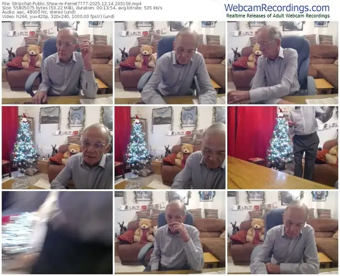 stripchat-ferret7777-12-14-2025-20-31-09