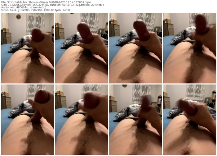 stripchat-gamerpali088-12-14-2025-17-58-59