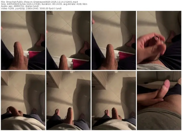 stripchat-greeneyes0820-12-14-2025-15-24-01