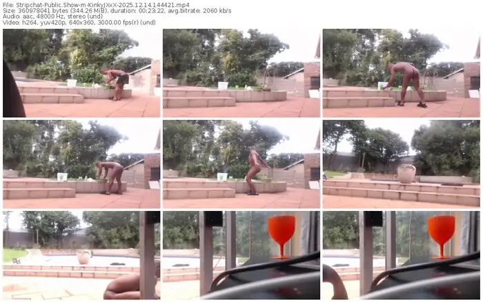 stripchat-kinkyjxxx-12-14-2025-14-44-21