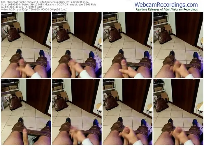 stripchat-luciferthegenius-12-14-2025-05-07-31