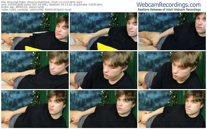 stripchat-markshot_-12-14-2025-01-46-51
