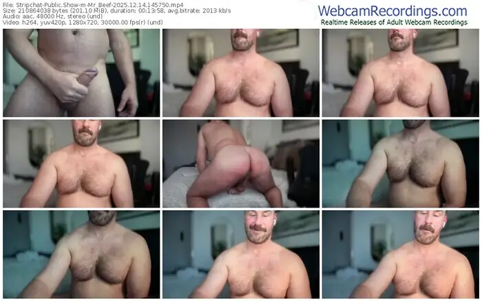 stripchat-mr_beef-12-14-2025-14-57-50