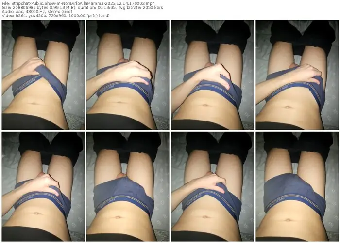 stripchat-nondirloallamamma-12-14-2025-17-00-02